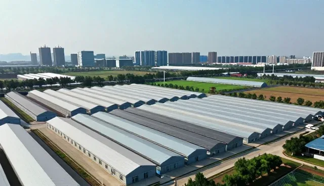 技术咨询在能力建设中的多场景应用实践
